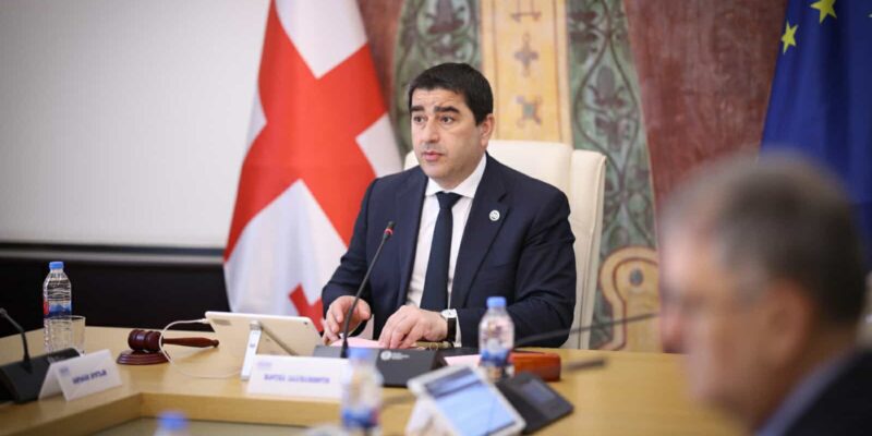 papuashvili m новости акции протеста в Грузии, Грузинская мечта, грузинские активисты, Грузия-Германия, группировка "Королевство Германия", королевство Германия, НПО, рейхсбрюгеры, Спикер парламента, Шалва Папуашвили