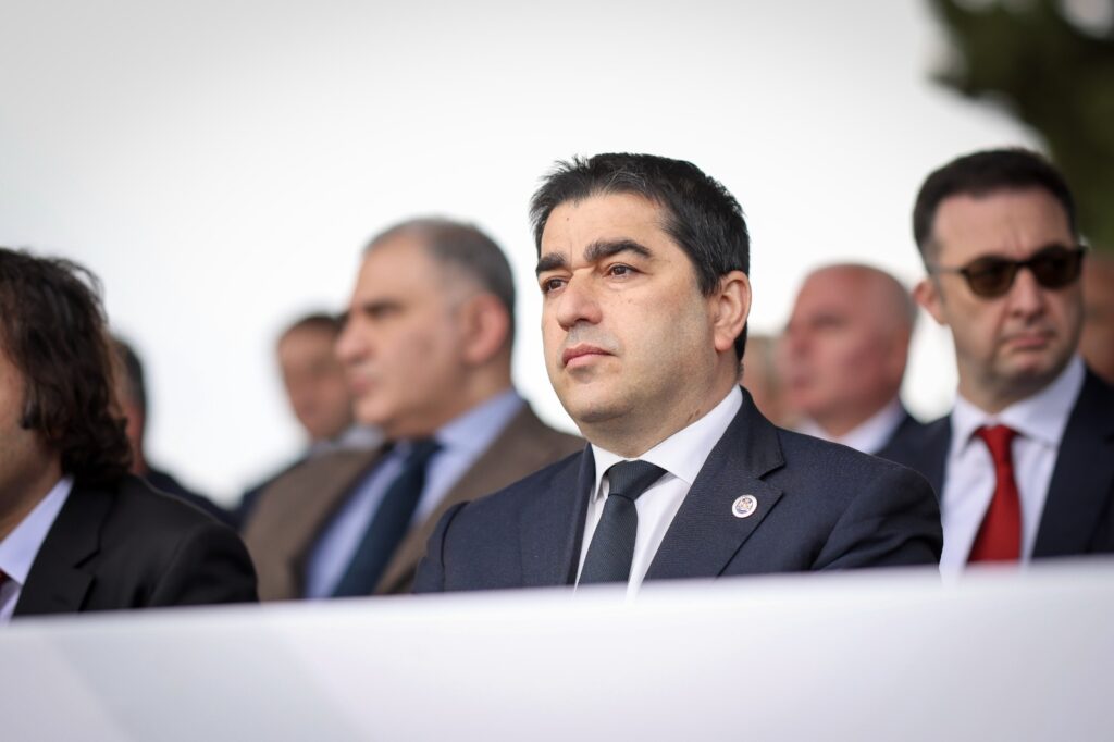 papuashvili shshshshshssh новости Мзия Амаглобели, Петер Фишер, посол Германии, Шалва Папуашвили