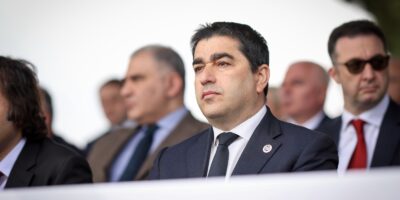 papuashvili shshshshshssh новости Мзия Амаглобели, Петер Фишер, посол Германии, Шалва Папуашвили