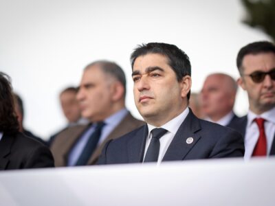 papuashvili shshshshshssh новости Мзия Амаглобели, Петер Фишер, посол Германии, Шалва Папуашвили