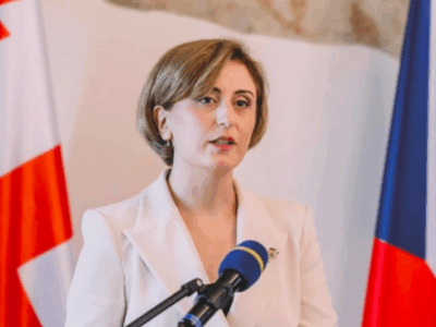 tea maisuradze новости Грузинская мечта, Зураб Пололикашвили, Тея Маисурадзе