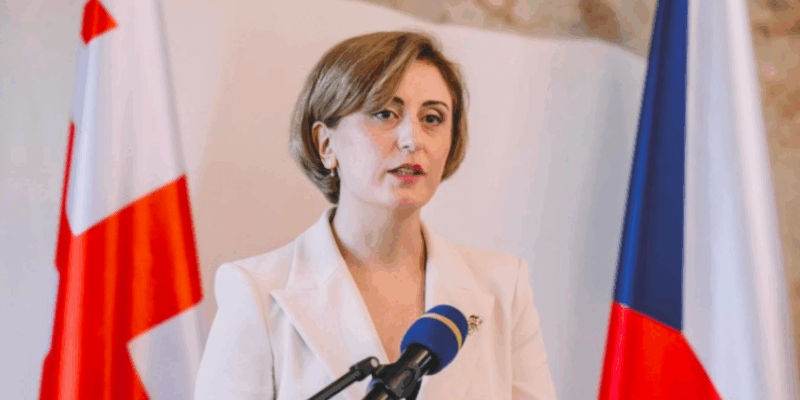 tea maisuradze новости Грузинская мечта, Зураб Пололикашвили, Тея Маисурадзе