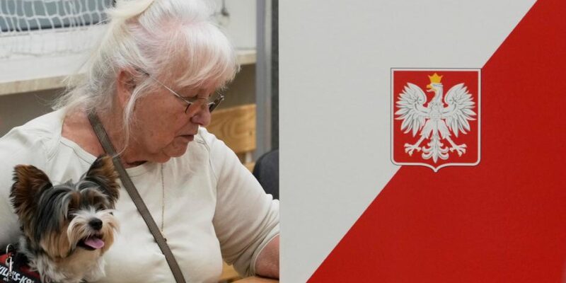 72751865 403 Deutsche Welle Кароль Навроцкий