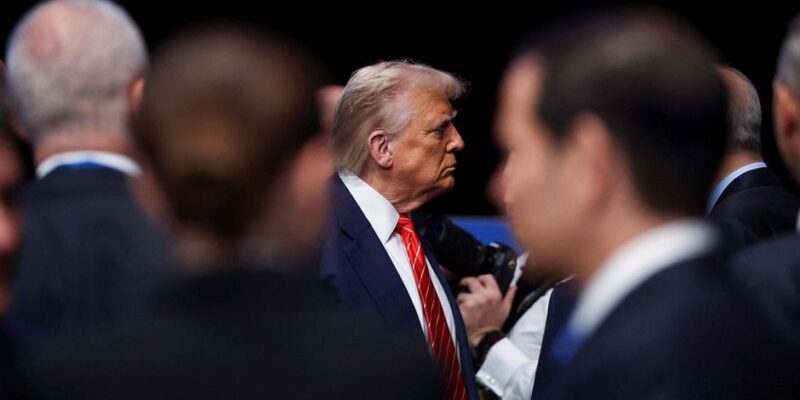 73033061 403 Deutsche Welle Дональд Трамп