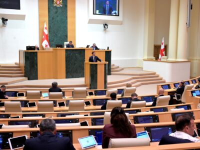 ioseliani новости журналисты грузии, Леван Иоселиани, насилие на акции протеста, Омбудсмен Грузии