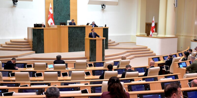 ioseliani новости журналисты грузии, Леван Иоселиани, насилие на акции протеста, Омбудсмен Грузии