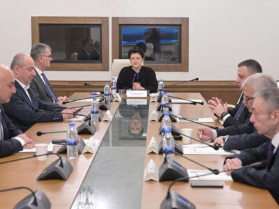 komissia tea culukiani новости временная комиссия, нацдвижение, парламент Грузии, Тея Цулукиани