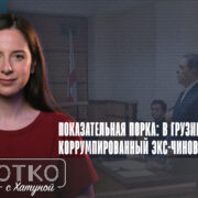 konji shorts thumbnale youtube 11 Fact or Fake Бидзина Иванишвили, Грузинская мечта, коррупция в Грузии, Ромео Микаутадзе