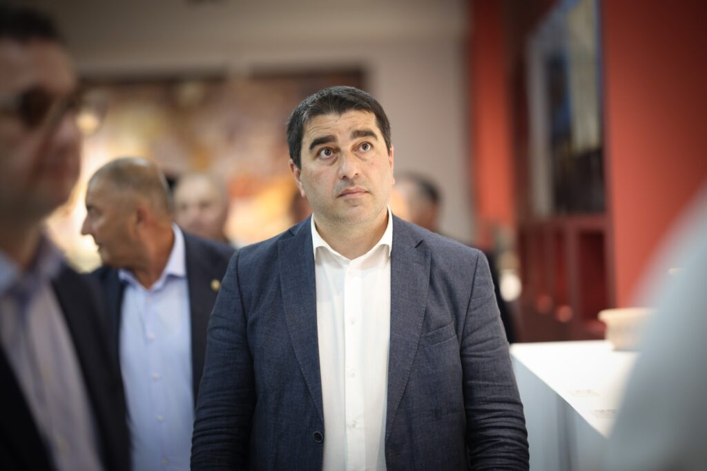 papuashvili sh papu новости Гедеван Попхадзе, Петер Фишер, посол Германии, Спикер парламента, Шалва Папуашвили, Элене Хоштария