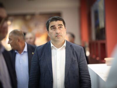 papuashvili sh papu новости Гедеван Попхадзе, Петер Фишер, посол Германии, Спикер парламента, Шалва Папуашвили, Элене Хоштария