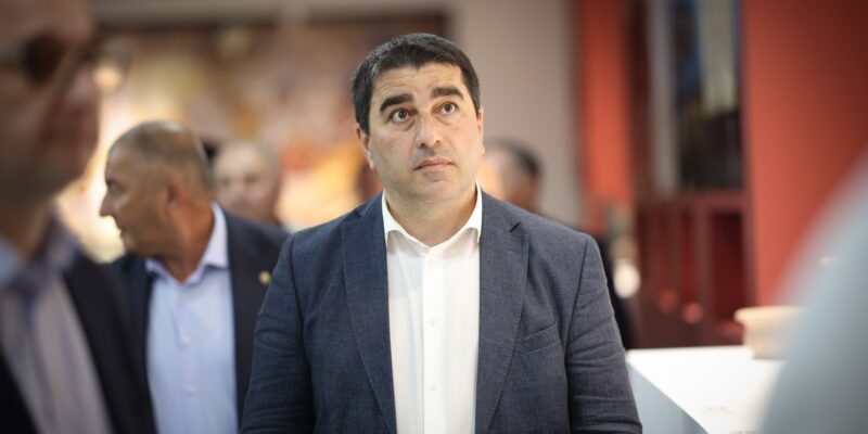 papuashvili sh papu новости Гедеван Попхадзе, Петер Фишер, посол Германии, Спикер парламента, Шалва Папуашвили, Элене Хоштария