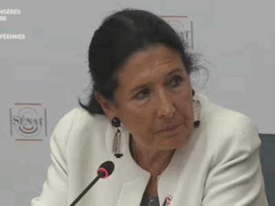 salome zurabishvili новости Бидзина Иванишвили, Саломе Зурабишвили, санкции ЕС
