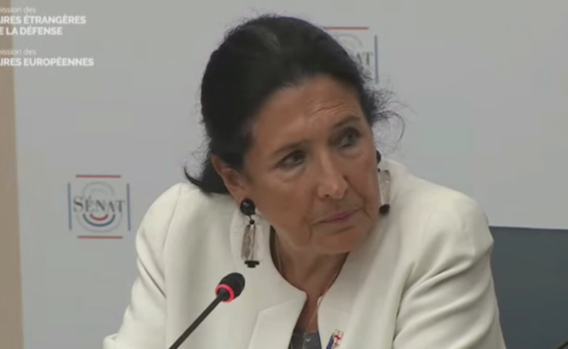 salome zurabishvili новости неправительственные организации, пятый президент Грузии, Саломе Зурабишвили
