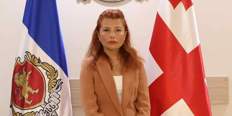 tabatadze mariam новости Гела Геладзе, замглавы МВД Грузии, Мариам Табатадзе, МВД Грузии