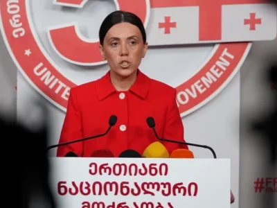 witlidze anna новости "Единое национальное движение", Анна Цитлидзе, санкции