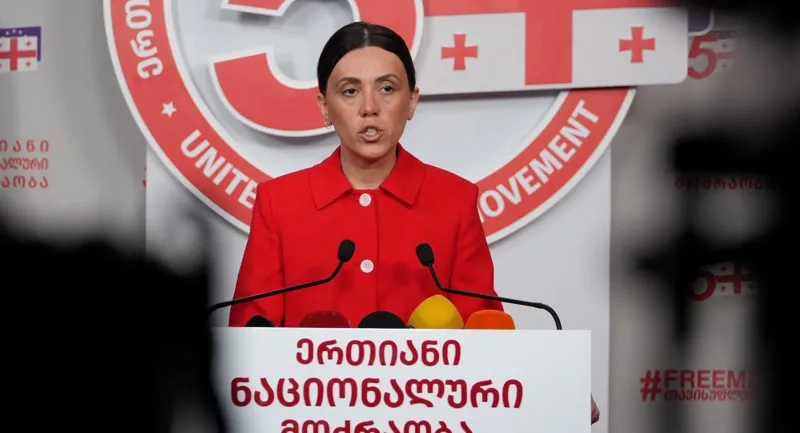witlidze anna новости "Единое национальное движение", Анна Цитлидзе, санкции