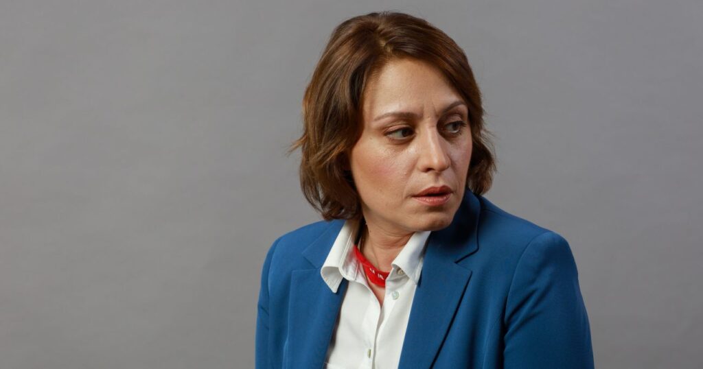 Лидер "Дроа!": институционально процесс интеграции с НАТО убит "Мечтой" 1 xoshtaria новости "Дроа!", Грузинская мечта, Грузия-НАТО, Элене Хоштария