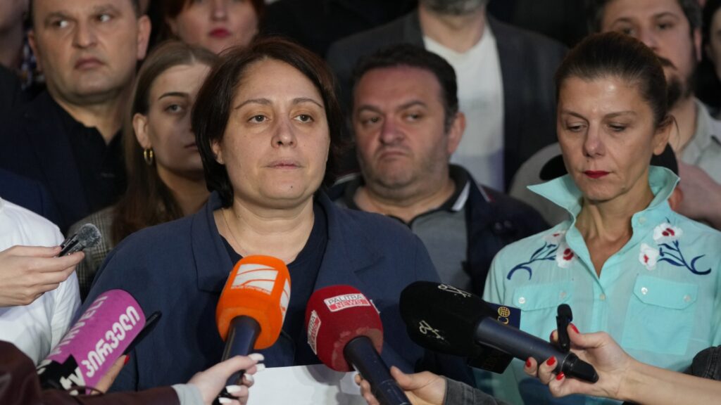 xoshtaria новости Гедеван Попхадзе, голодовка, Грузинская мечта, Элене Хоштария