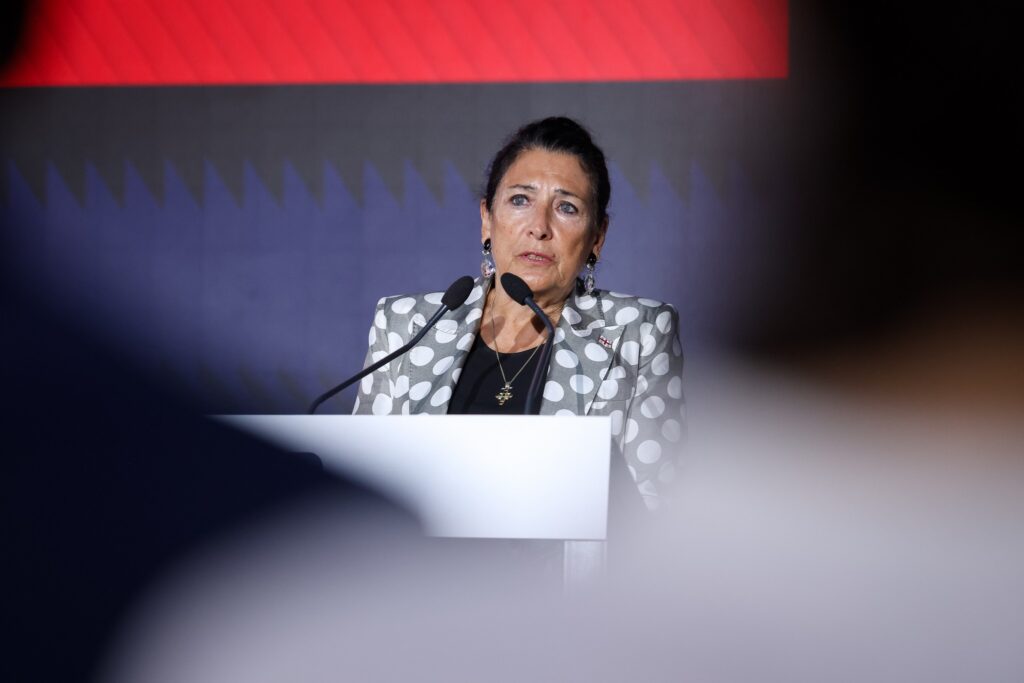 zurabishvili salome новости акции протеста в Грузии, Саломе Зурабишвили