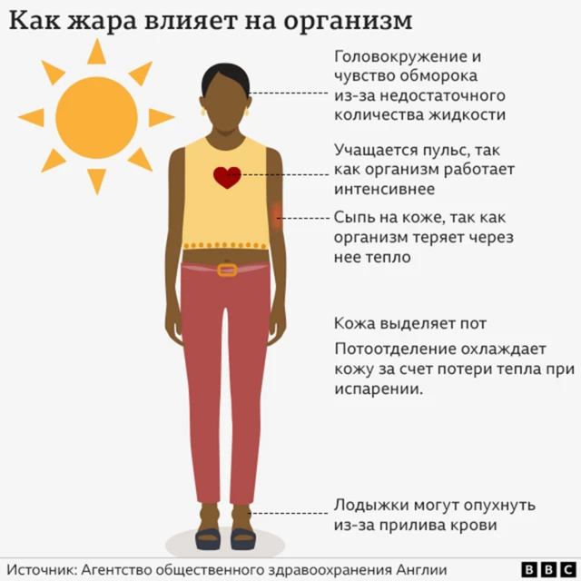 Температура влажного термометра: как понять, насколько опасна жара 2 На рисунке показано, как жара воздействует на организм человека