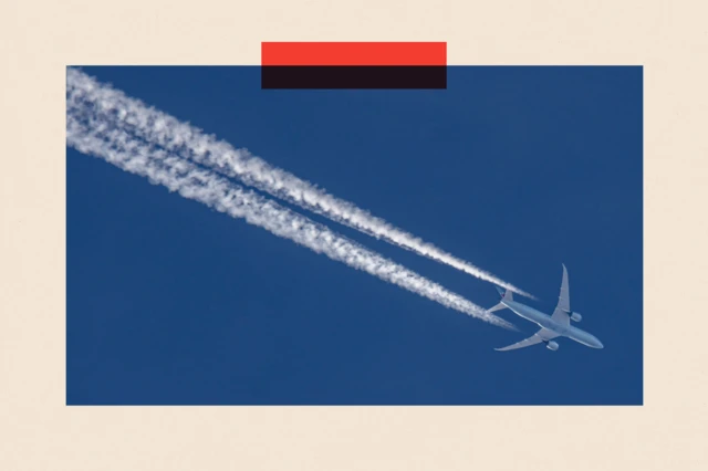 Boeing 787 Dreamliner в небе