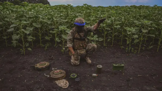 Военный 35-й бригады морской пехоты ВСУ разминирует территорию в Донецкой области, 12 июля 2023 года
