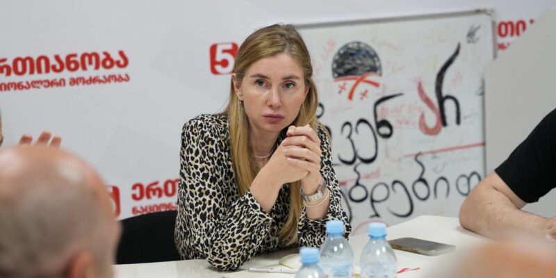 bokuchava tina новости "Единое национальное движение", мошенничество, Тина Бокучава