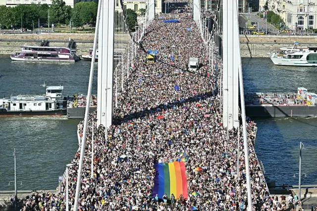 Вид сверху на мост, полностью занятый людьми. Они несут большой флаг ЛГБТ