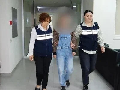 dakaveba новости МВД Грузии, фашизм