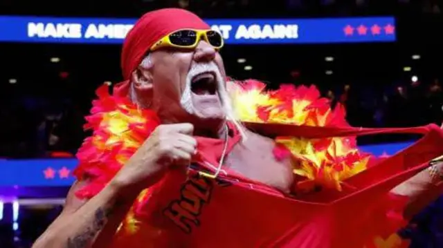 f126c980 68ac 11f0 a7a7 2fa09728ca14.jpg Новости BBC Халк Хоган