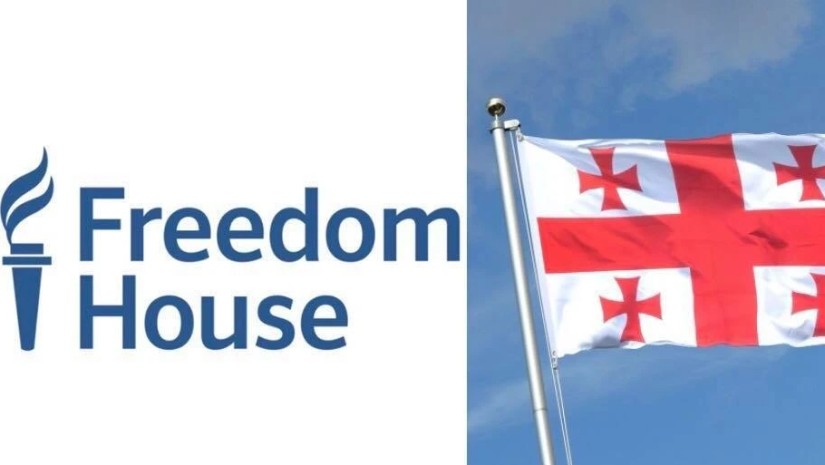 freedom house geo новости Freedom House, арест оппозиционеров, Грузия-ЕС