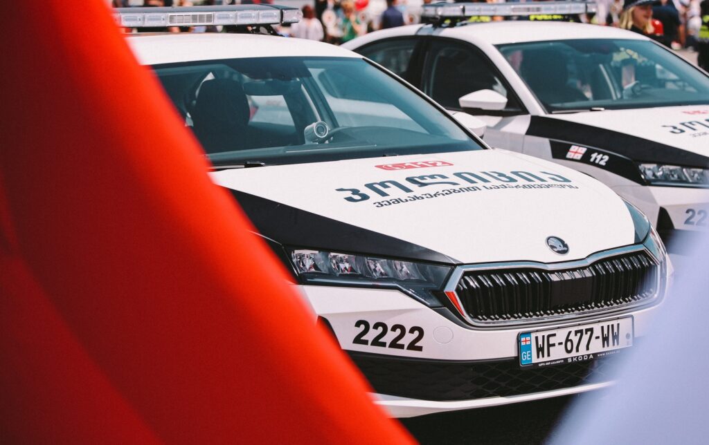 mvd policia e1751792791678 новости иностранец, МВД Грузии, нападение