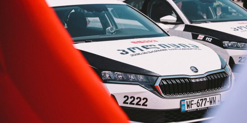 mvd policia e1751792791678 новости иностранец, МВД Грузии, нападение