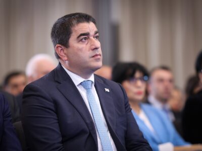 papuashvili shalva papuashvili новости Грузия-США, Робин Данниган