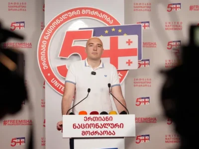 pavlenishvili irakli e1751536687493 новости "Единое национальное движение", Ираклий Павленишвили, коалиция "Сильная Грузия", Мамука Хазарадзе