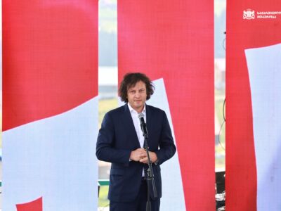 kobaxxxx новости "О семейных ценностях и защите несовершеннолетних", анти-ЛГБТ-закон, Ираклий Кобахидзе, ЛГБТКИ, премьер Грузии, Ульф Кристерссон