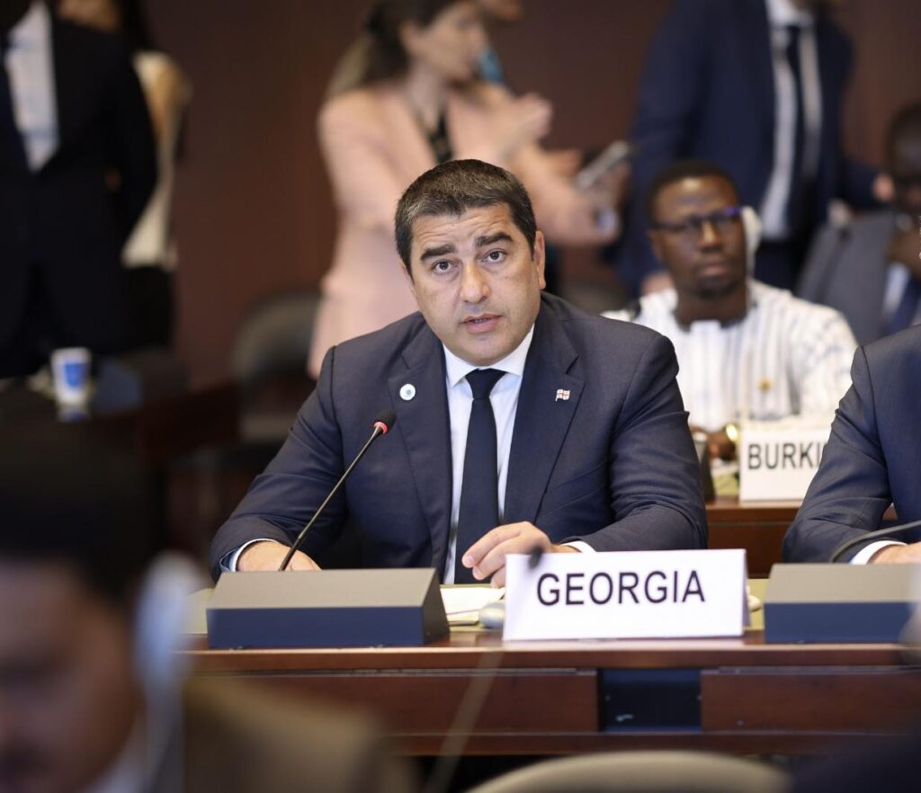 papuashvili новости MEGOBARI Act, Грузинская мечта, Спикер парламента, Шалва Папуашвили