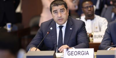 papuashvili политика MEGOBARI Act, Грузинская мечта, Спикер парламента, Шалва Папуашвили
