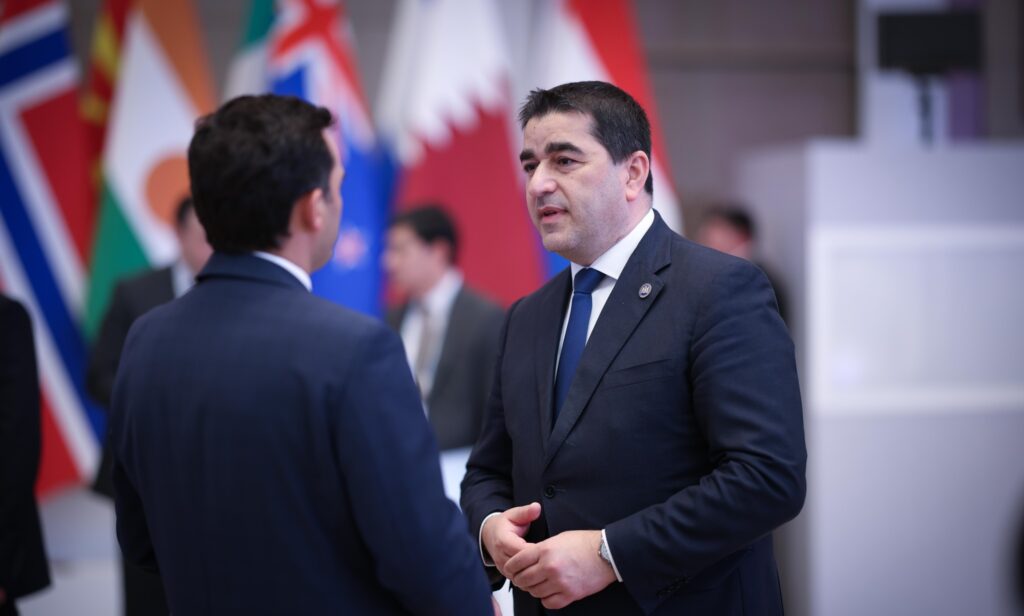 shalva papu papuashvili e1754419530474 новости Спикер парламента, ЦИК Грузии, Шалва Папуашвили