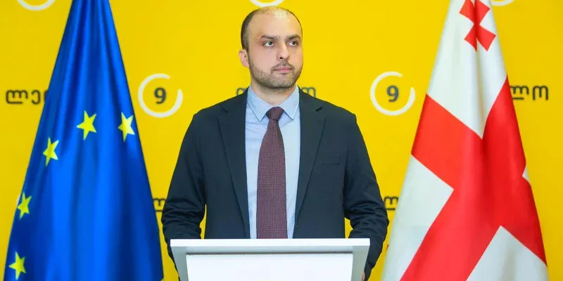 sioridze giorgi новости Георгий Сиоридзе, грузинские НПО, Лело - Сильная Грузия, неправительственные организации
