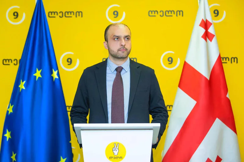 sioridze giorgi новости Георгий Сиоридзе, грузинские НПО, Лело - Сильная Грузия, неправительственные организации