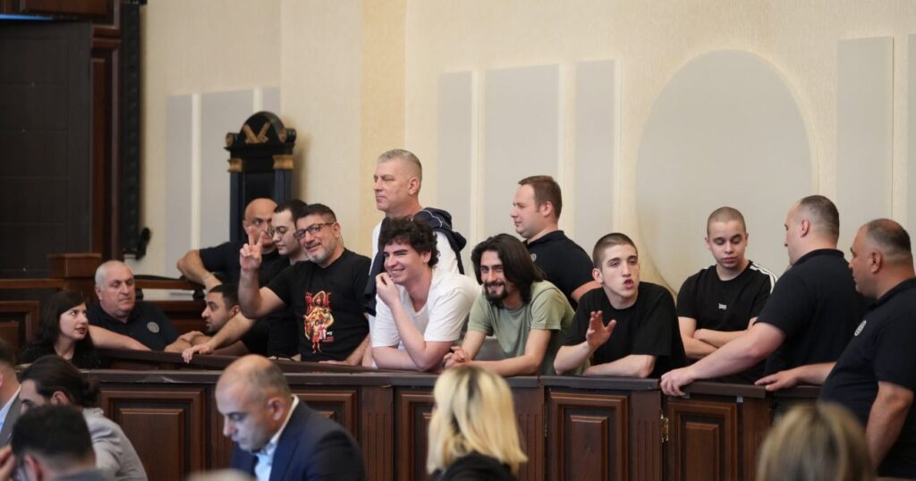 1 новости акции протеста в Грузии, дело 8-ми, Тамар Мчедлишвили