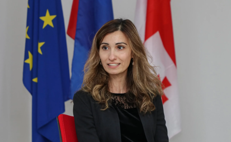 arakelyan новости демократия в Грузии, мелине аракелян, посол Нидерландов