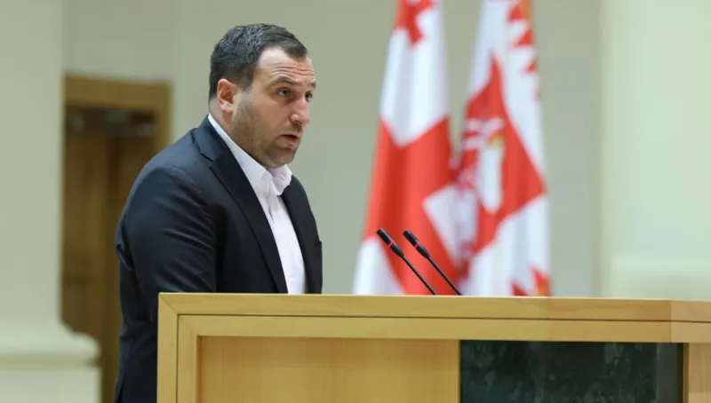 новости Грузинская мечта, ираклий кирцхалия, Мамука Мдинарадзе, парламент Грузии
