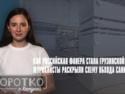 konji shorts thumbnale youtube 6 Deutsche Welle featured, iFact, березовая фанера, война в Украине, Грузия-Россия, санкции
