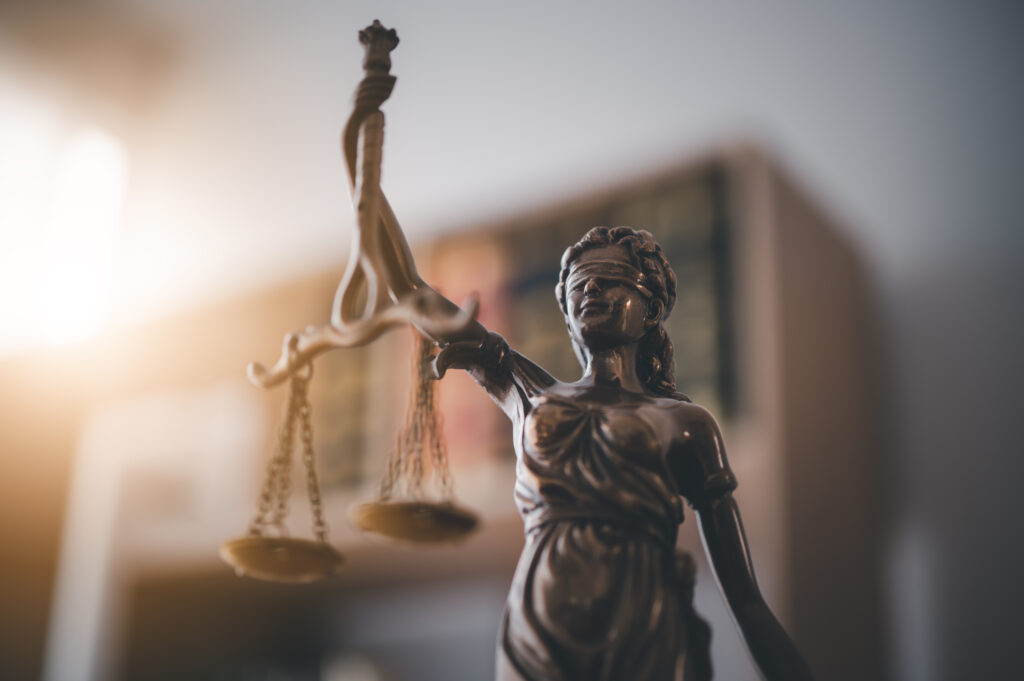 lady justice law theme mallet of the judge law e 2025 02 15 23 37 37 utc политика featured, Антон Чечин, Гия Хухашвили, Ника Кация
