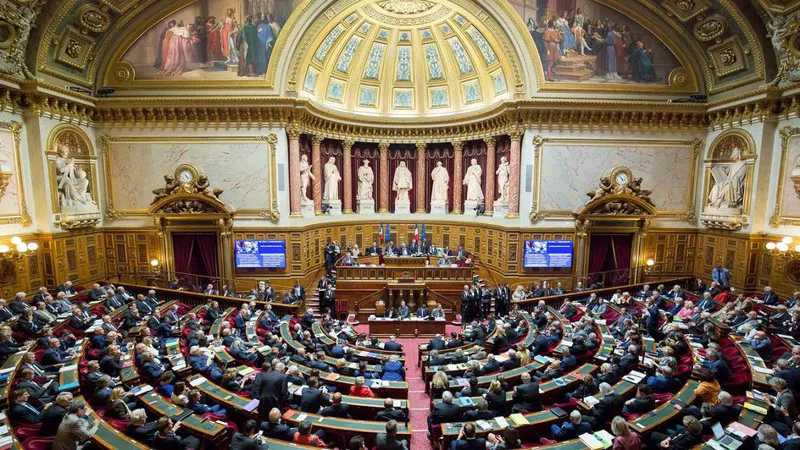 senat francii новости Грузия-Евросоюз, Грузия-Франция, резолюция по Грузии, сенат