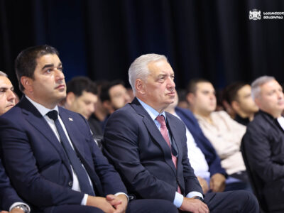 volskii papuashvili новости вице-спикер, Гия Вольский, Павел Герчинский, посол ЕС в Грузии