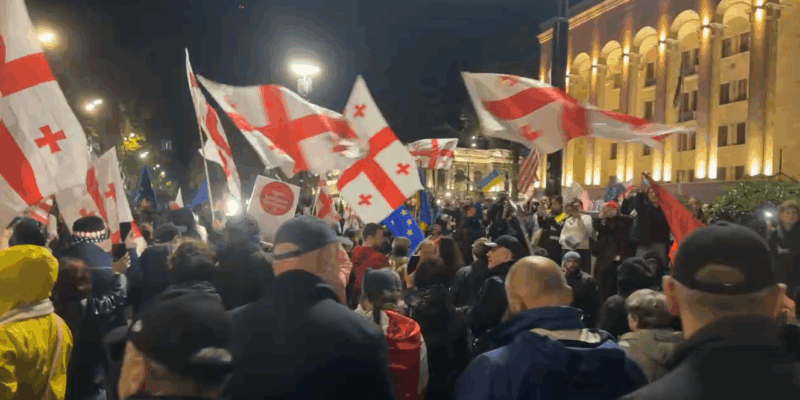 МВД: на проспекте Руставели были задержаны 29 участников акции 1 akcia новости акция протеста в тбилиси, задержания на акции протеста, Министерство внутренних дел Грузии