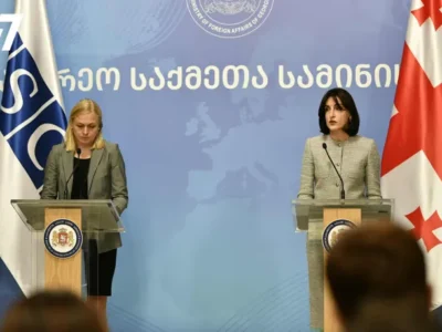bochorishvili valtoneni1 новости Мака Бочоришвили, МИД Грузии, оккупированные регионы Грузии, Элина Валтонен